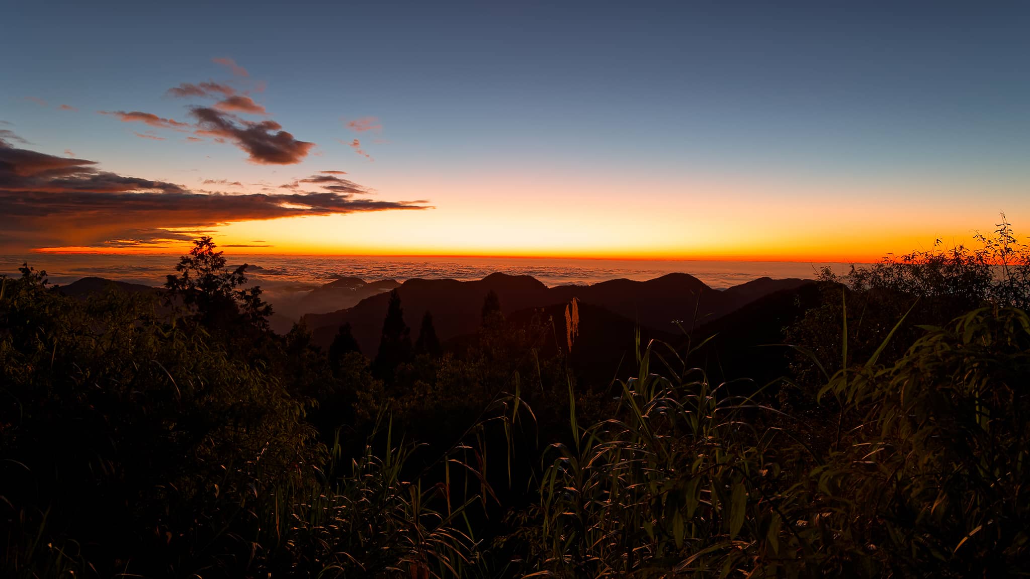 05 - Alishan (19).jpg